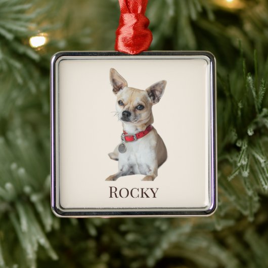 Personalized Dog Photo | Custom Pet Name  Metalen Ornament (Boom)