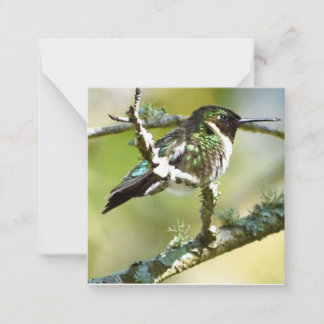 Personalized Hummingbird mini notecards Notitiekaartje