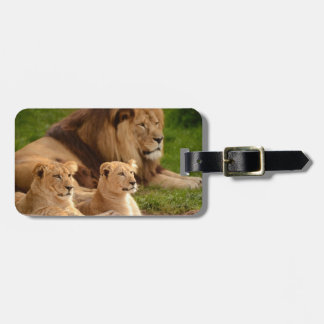 Personalized Luggage Tags – Durable & Stylish Trav Bagagelabel