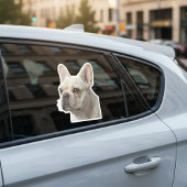 Personalized Pet Photo Car Window Sticker