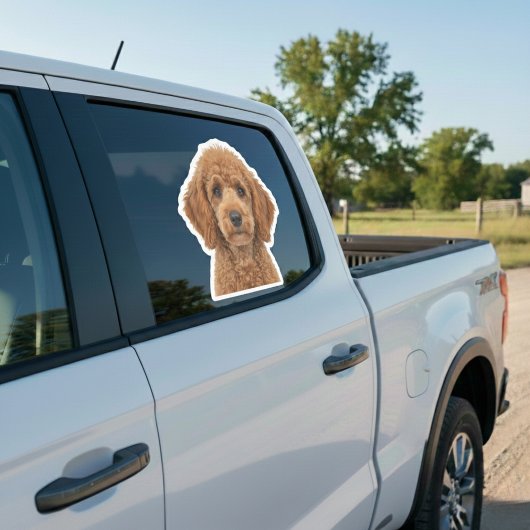 Personalized Pet Photo Car Window Sticker