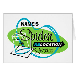 PERSONALIZED Spider Relocation Service