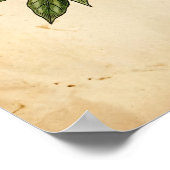 Personalized Vintage Coffee Plant Botanical Poster (Hoek)