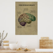 Personnalisable Poster du Cerveau Humain, modifier (Cuisine)