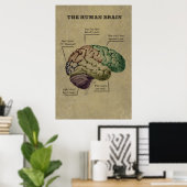 Personnalisable Poster du Cerveau Humain, modifier (Bureau à domicile)