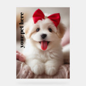 Personnalisé (Recto)