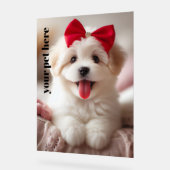 Personnalisé (Angle)