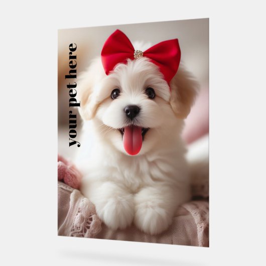 Personnalisé (Angle)