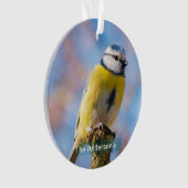 Personnalisé Bleu Jaune Oiseau Photo Personnalisée (devant)