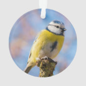 Personnalisé Bleu Jaune Oiseau Photo Personnalisée (dos)