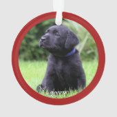 Personnalisé Chien Chien Chien Chien Chien Chien P (dos)