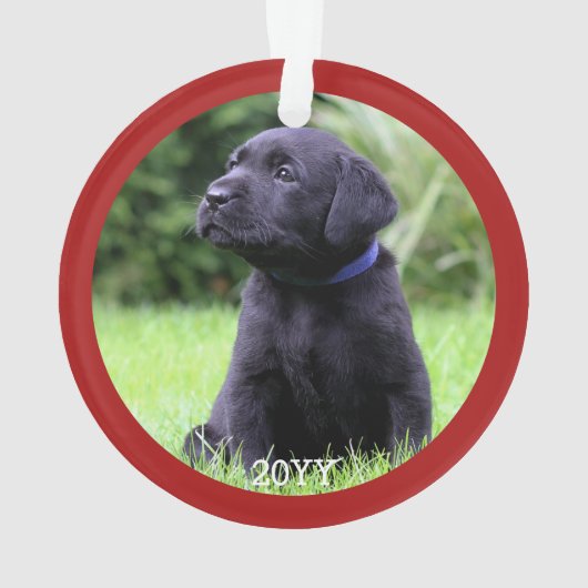 Personnalisé Chien Chien Chien Chien Chien Chien P (dos)