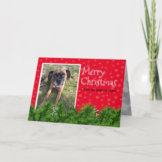 Personnalisé du chien - Cartes de Noël (Devant)