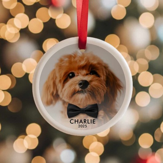 Personnalisé Pet Photo de Noël Ornement Garde