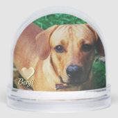 Personnalisé Photo Pet Memorial (Avant)