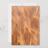 Personnalisé rustique, blé, faire-part de mariage (Dos)