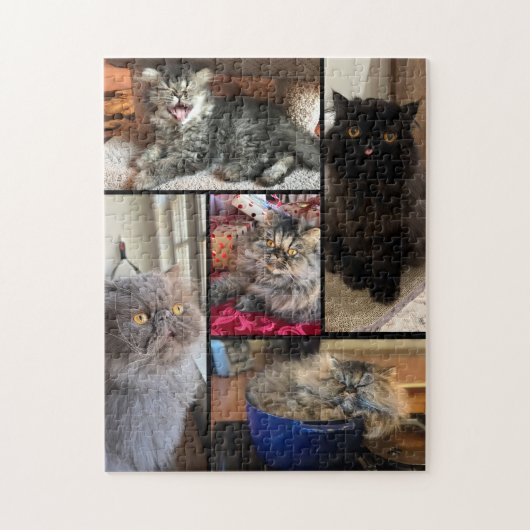 Personnalisé Votre Puzzle de 5 Photos Chat Persan (Vertical)