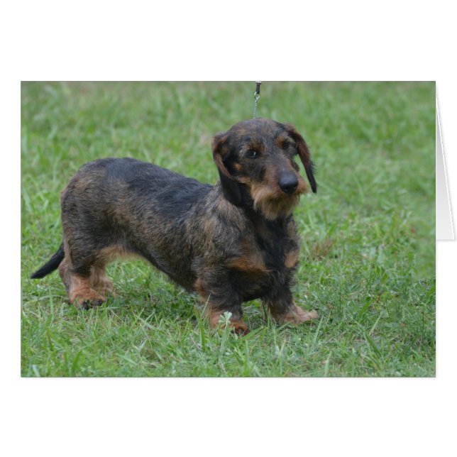 Personnaliser (Devant horizontal)