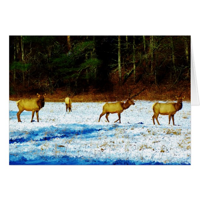 Personnaliser (Devant horizontal)