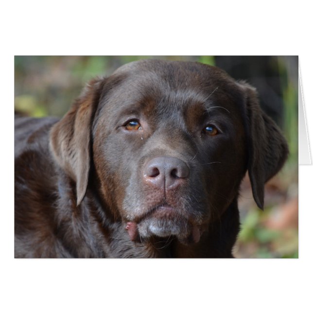 Personnaliser (Devant horizontal)