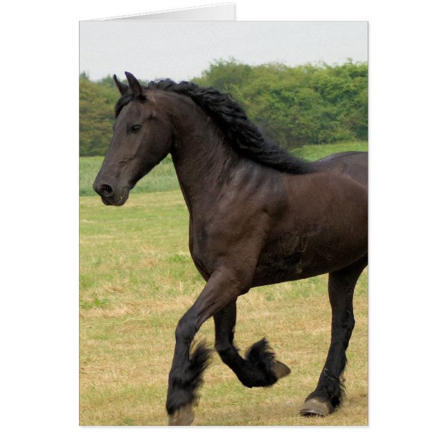 Personnaliser (Devant)