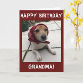 Personnaliser Carte de voeux Joyeux grand-mère d'a (Fleur jaune)