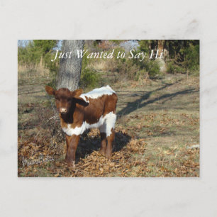 Personnaliser de carte postale Bliss