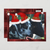 Personnaliser de carte postale de chèvre de Joyeux (Devant / Derrière)