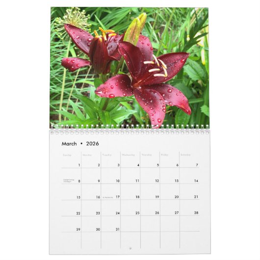 Personnaliser Deux Page Moyen Calendrier Photo, Bl (Mar 2026)