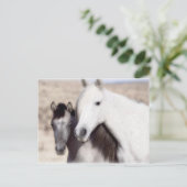 Personnaliser Horse Party Invitations et cartes (Debout devant)