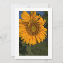 Personnaliser votre invitation personnalisée sur c