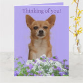 Personnalisez la grande carte "Thinking of you" Do (Fleur jaune)