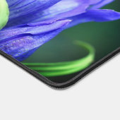 Personnalité de Blue Gentian (Coin)