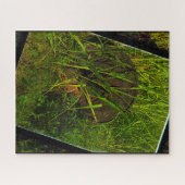 Personne ne remarque le puzzle (Horizontal)