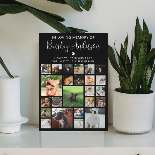 Persoonlijk 24 foto Pet Memorial Fotoplaat