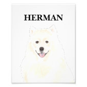 Persoonlijk Amerikaans Eskimo Samoyed Dog Foto Afdruk (Voorkant)