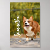 Persoonlijk fotoMonogram telefoonmodepapier Poster (Voorkant)