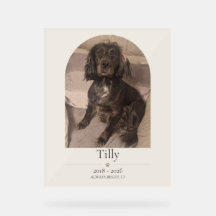 Persoonlijk huisdierherdenkingspaneel van acryl |