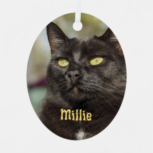 Persoonlijk kat-Ornament Metalen Ornament