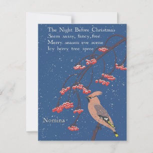 Persoonlijk Kerstgedicht Geïllustreerde Pestervoge Briefkaart