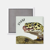 Persoonlijk Leopard Gecko Lizard Magneet (Voorkant / Achterkant)