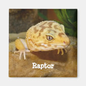 Persoonlijk Leopard Gecko Lizard Magneet (Voorkant)