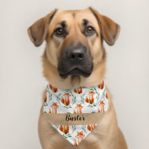 Persoonlijk leuk vos huisdier hond accessoire