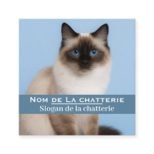 Persoonlijk visitekaartje elegante kattenkwekerij