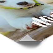 Persoonlijke aangepaste petfoto poster (Hoek)