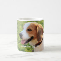 Persoonlijke Beagle Dog Foto en Dog Naam
