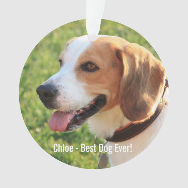Persoonlijke Beagle Dog Foto en Dog Naam Ornament (voorkant)