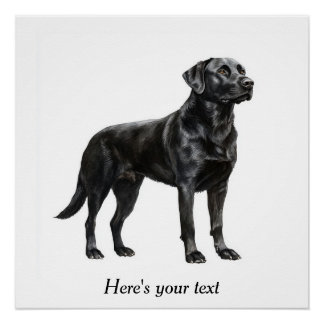 Persoonlijke Black Labrador Retriever Decoratie Perfect Poster