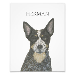 Persoonlijke blauwe voeler Cattledog Foto Afdruk