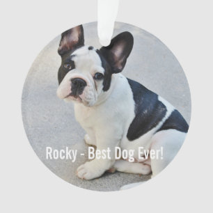Persoonlijke Bulldog Foto en Bulldog Naam Ornament